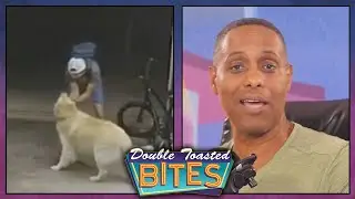 DOG BEFRIENDS THIEF - CAUGHT ON VIDEO | Double Toasted Bites