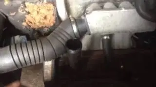 V1558