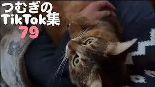 つむぎのTikTok集79