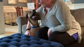 Adopt Callum!
