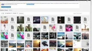 HTTP Error Wordpress The Only Solution That Works