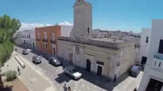 VIDEO CARTOLINA DA ALLISTE FELLINE 2014