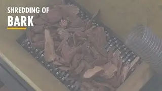 Shredding of bark with an UNTHA Shredder