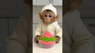 baby monkey eating popping candy - so cute ❤️