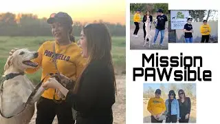 Paws and Walk | AKR Qatar | 2nd Chance Rescue Qatar