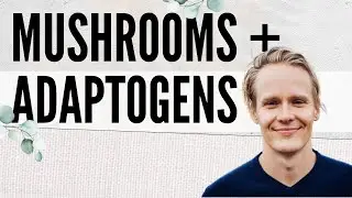 Adaptogen Mini Guide: Mushrooms + More with Tero Isokauppila | The Art Of Being Well | Dr. Will Cole