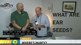 Lower Back & Leg Pain Relief at Home | Ear Seeds & Simple Remedies with Dr Tom Ingegno