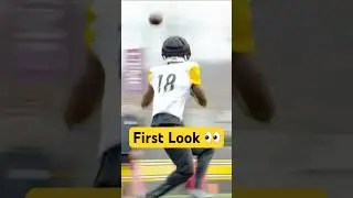 First look at Mike Williams & Preston Smith in Black & Gold! ⚫️🟡 #steelers #shorts #nfl