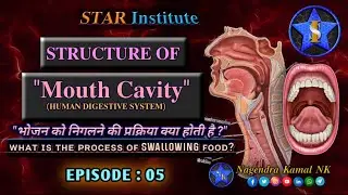 SWALLOWING !! What is The Process Of SWALLOWING Food ? !! Structure of Mouth Cavity !! EPISODE : 05