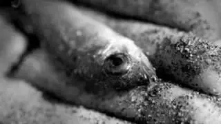 De Phazz - Nameless Life   ( Cole Thompson photography)