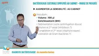 DIAGNOSTIC BACTERIOLOGIQUE 2