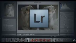 300 Lightroom Presets Free Download