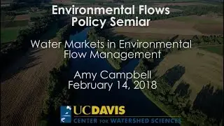 Water Markets in Environmental Flow Management