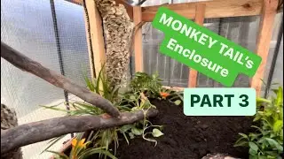 MONKEY TAIL SKINK ENCLOSURE BUILD (Part 3!!)