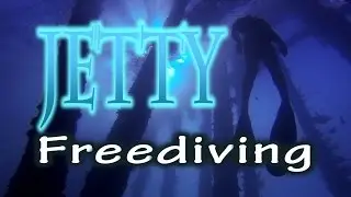 Freediving Rapid Bay Jetty