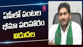 AP CM YS Jagan Releases YSR Free Crop Insurance Funds | Prime9 News