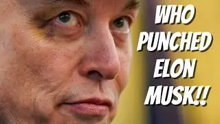 MAGA SUPPORTERS ATTACKS ELON MUSK (what really happened!)