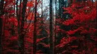 WhatsApp status happy journey new songs and good morning status