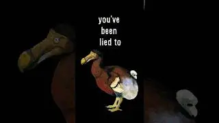 the SCARY reason the dodo went extinct