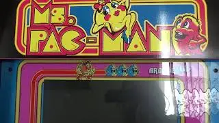 Dig Dug II for Arcade (Gameplay and Review)