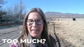 A Full Day Before and After Work | Faith, Farm Life, and Real Rhythm