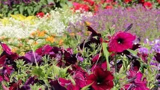 Rutgers Gardens Offers Relaxing Getaway