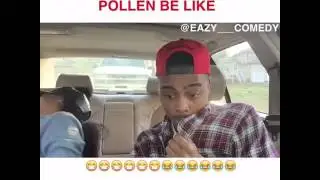 Pollen people
