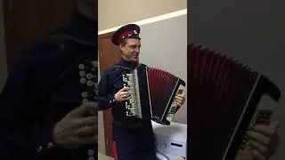 Баянист Гриша и Попугай Жора!