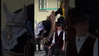 OKTOBERFEST 2025 🍺🕺💃🥨#beerfestival #party  #germany #shotrs #shortsvideo #music #polka #bayern