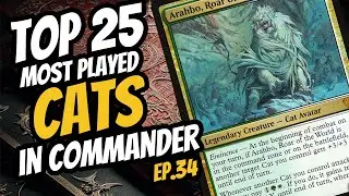 Top 25 Most Played CAT Creatures in Commander | Ep.34