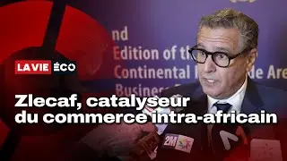 Akhannouch : &laquo; La Zlecaf pourrait augmenter les revenus du continent de 7 % d'ici 2035&raquo;