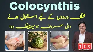 Pain killer Colocynthis | Symptoms | How to use | Homeopathic Medicine | Urdu | Hindi