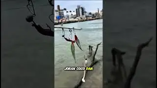 Setup GILA! Triple Lure Rig - Teknik Mancing 3x Lebih Efektif! #viral #shortsvideo #shorts #fishing