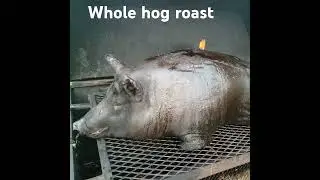 Whole hog roast