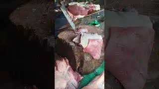 AMAZING SUPER EXPERTS BUTCHER  OX MEAT CUTTING & SELLING #meatcuttingmachine #meatcutter #meat #food