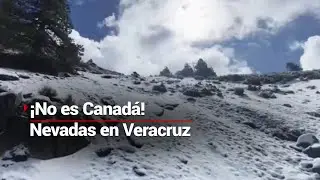 &iexcl;IM&Aacute;GENES DE POSTAL! | As&iacute; luce el Parque Nacional Cofre de Perote, tras la tercera nevada