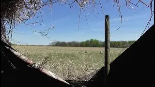 Turkey Hunt - Spring & Fall 2018