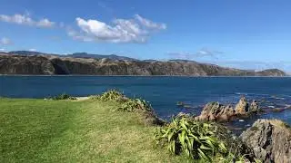 Breaker bay, Wellington. New Zealand