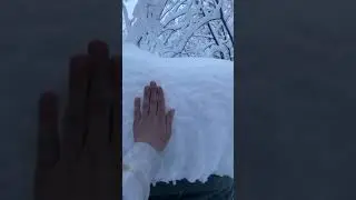 Life in Alaska #alaska #wasilla #snow #snowstorm #snowstorm2023 #snowboarding #snowstorms #viral