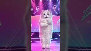 an adorable cat dancing at a party or disco #ai #cute #ai #funny