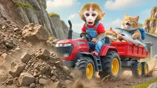 🐵🐱 Monkey & Fat Cat Face Trouble on Their Way to Harvest Vegetables and Get Help From Black Cat