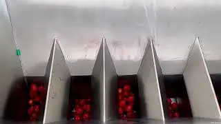 Automatic linear type filler 6 heads scale filler