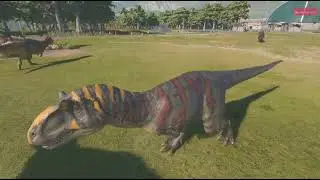 Jwe3 Ps5: Island Park (Square Map) Tour