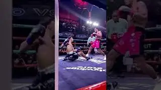 #delio vs Alisher #holywingssport #Delio #alisheruzoqov #viralvideo