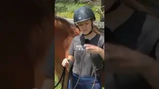 Horseback Riding Safety Hack