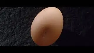 McDonald's - Egg McMuffin - Un moment de douceur