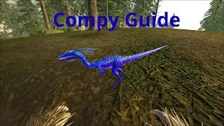 Compy Guide Ark Survival Evolved