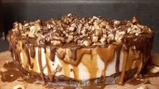 Vegan Turtle Cheesecake Recipe Dessert Raw Vegan Pastry Dairy Free