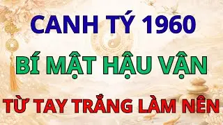 Bí Mật Hậu Vận Canh Tý 1960: Từ Tay Trắng Đến Phú Quý Nhờ 