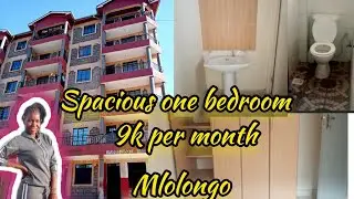 Affordable one Bedroom Along Mombasaroad || Mlolongo